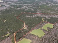 Tuscaloosa County 125 Acres Rec : Gordo : Tuscaloosa County : Alabama