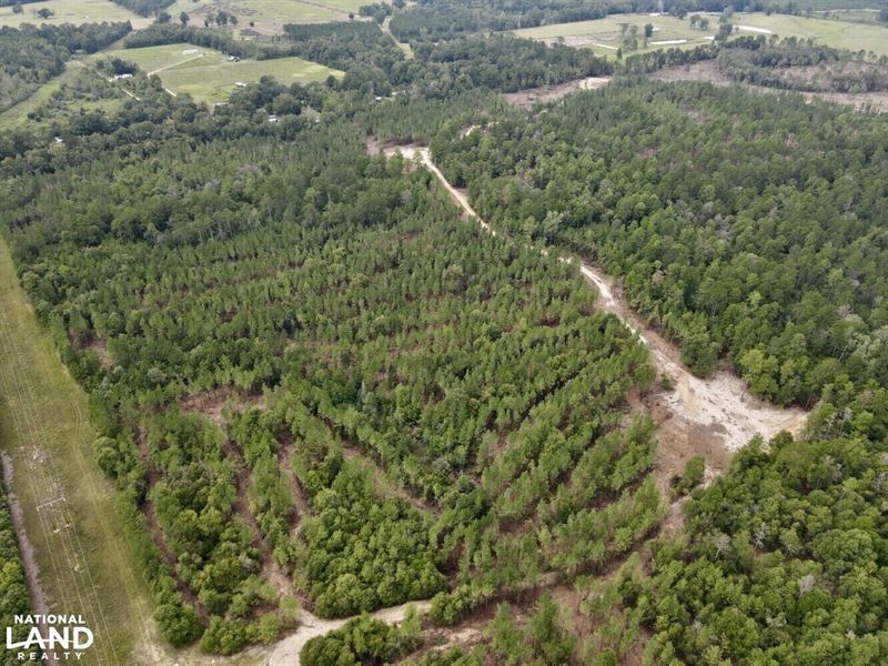 Richton Homesite, Hunting & Timber : Richton : Perry County : Mississippi