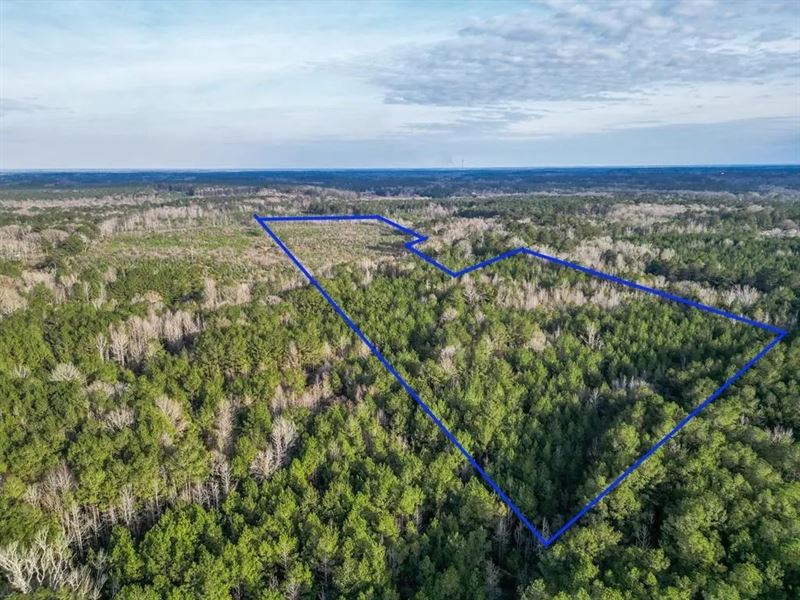 Land for Sale in Amite County, MS : Liberty : Amite County : Mississippi