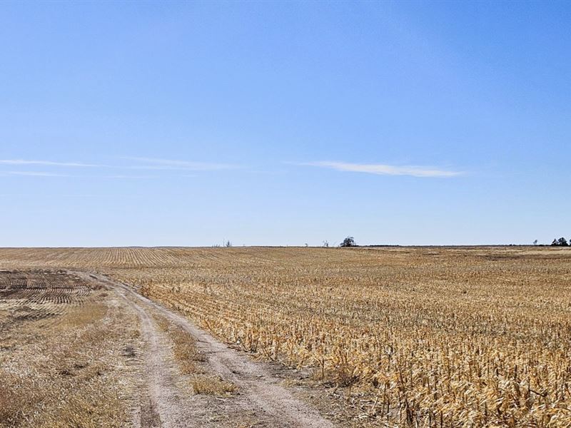 Frerichs Dryland Parcel 2 : Gurley : Cheyenne County : Nebraska