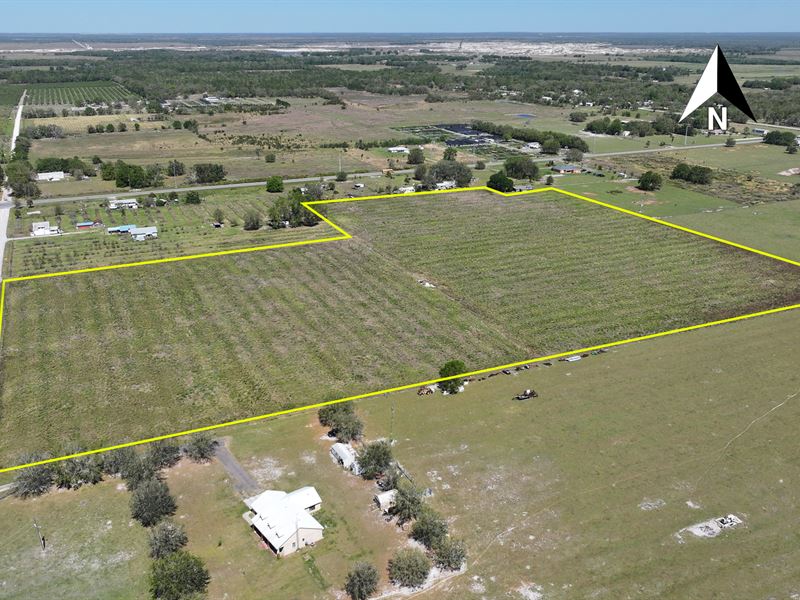 Wauchula Residential Acreage : Wauchula : Hardee County : Florida