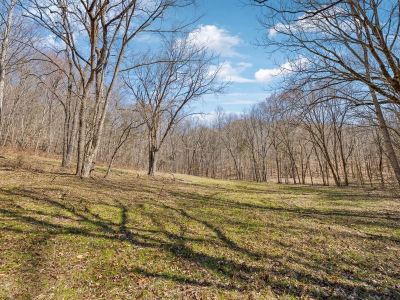 160.5 Acres in Clay County, Tenness : Celina : Clay County : Tennessee