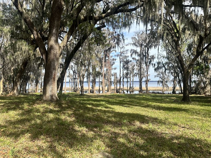 Breathtaking Views of Lake Santafe : Earleton : Alachua County : Florida