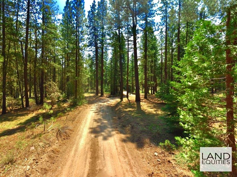 Your Private Retreat in The Woods : Bonanza : Klamath County : Oregon