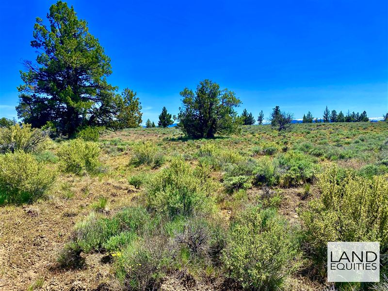 Remote Location By National Forest : Beatty : Klamath County : Oregon