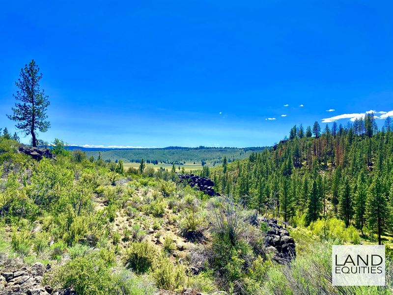 Amazing Views Near National Forest : Beatty : Klamath County : Oregon