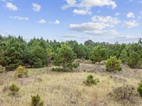 Creek Landing Homesite : Loris : Horry County : South Carolina