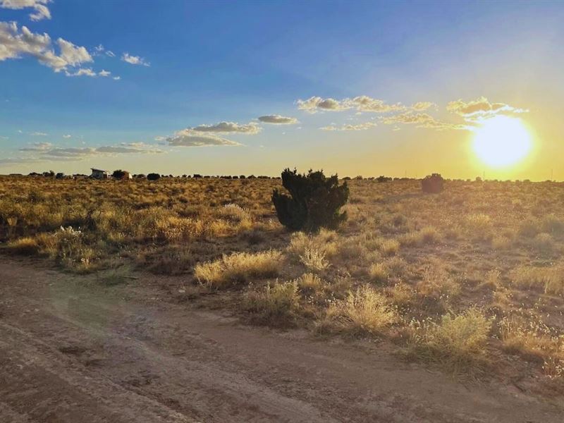 Privacy at Its Best $125-$250/Month : Williams : Coconino County : Arizona