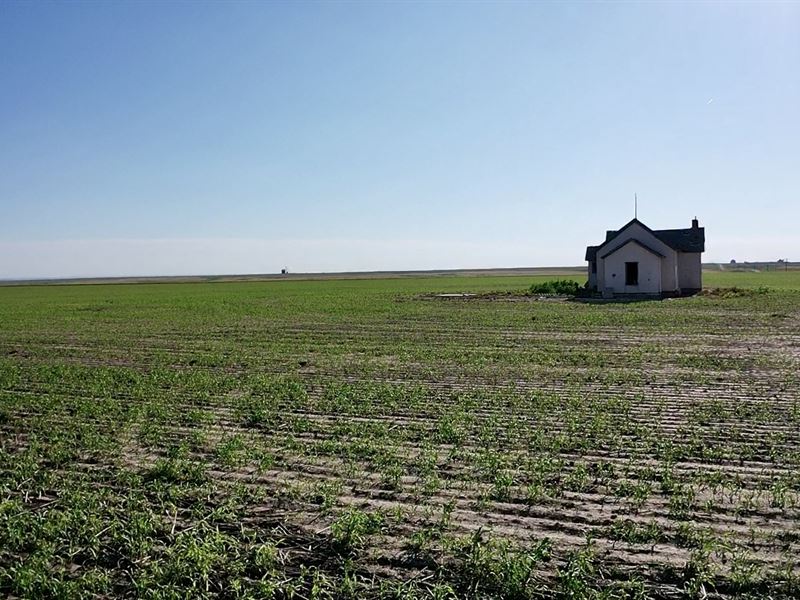 Hamilton County Section : Syracuse : Hamilton County : Kansas