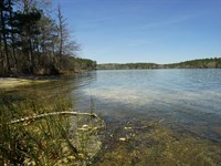 488 Ac in Rockdale County : Conyers : Rockdale County : Georgia