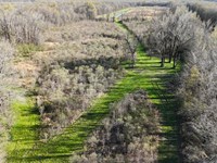La, Richland 240 Acres : Mangham : Richland Parish : Louisiana
