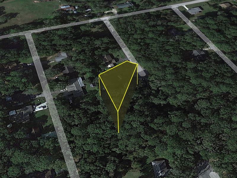 Act Fast-Grab Lot for Only $406/Mo : Inverness : Citrus County : Florida