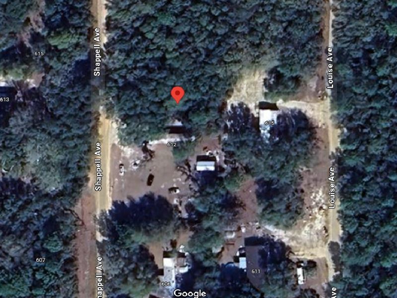 Flexible Zoning Plus $199 Down : Interlachen : Putnam County : Florida