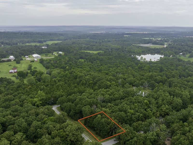 Corner Lot with Power on Site : Horseshoe Bend : Izard County : Arkansas