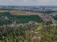 Highway 166 Tract : Carrollton : Carroll County : Georgia