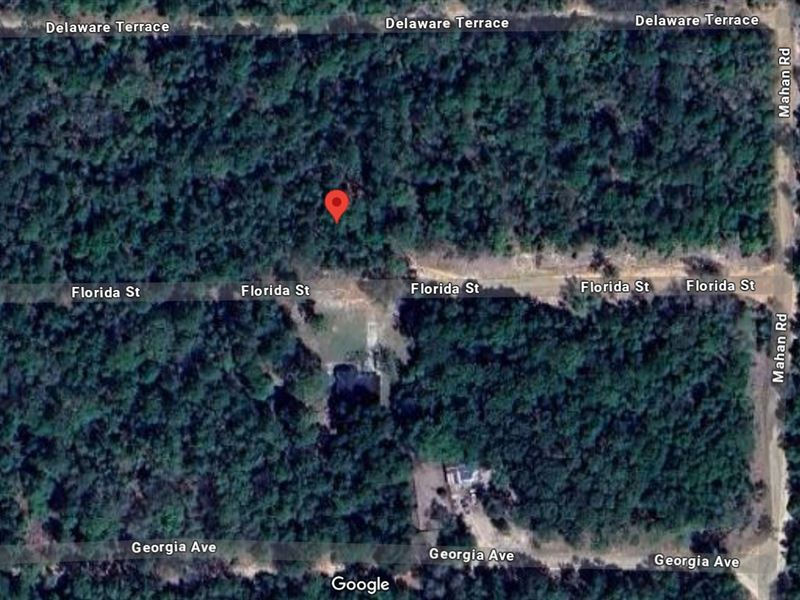 Your Private Lot, No HOA $149 Down : Interlachen : Putnam County : Florida