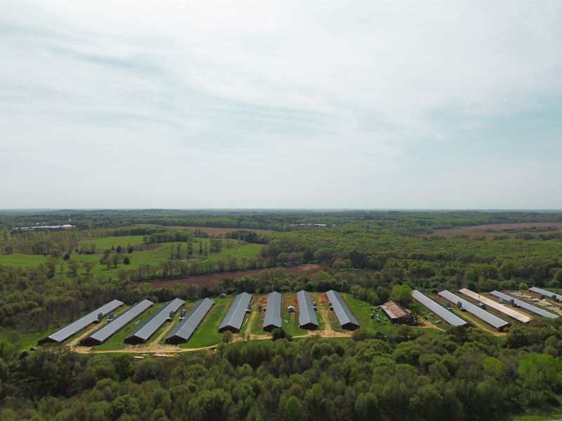 13 House Broiler Poultry Farm : Royston : Hart County : Georgia