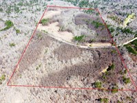 Bankhead National Forest Homesites : Double Springs : Winston County : Alabama