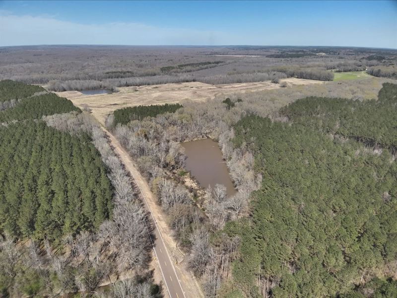 233 Acres in Madison County in Pick : Pickens : Madison County : Mississippi