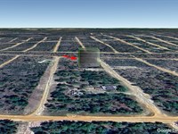 Affordable FL Lot Only $215/Mo : Interlachen : Putnam County : Florida