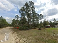 Lot by Lakes & Golf, Just $278/Mo : Interlachen : Putnam County : Florida