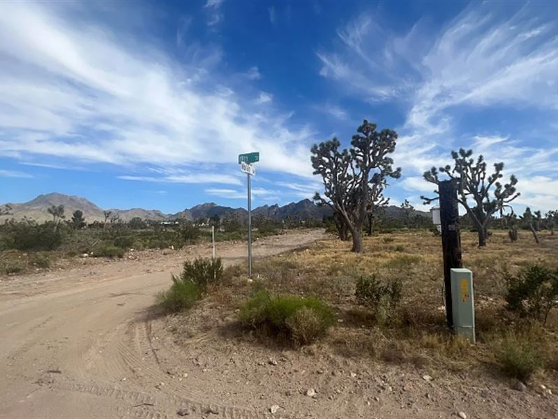 By Main Road & Deals at $125/Mo : Dolan Springs : Mohave County : Arizona