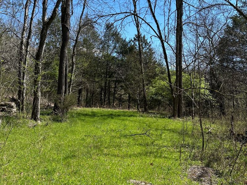 14.54 Acres, Ben Gentry Ln, Smith : Elmwood : Smith County : Tennessee