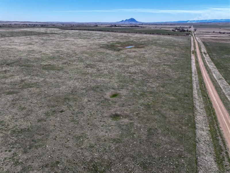 Butte County 40 : Vale : Butte County : South Dakota
