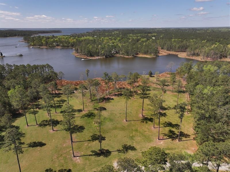1.88 Acre Waterfr : Belhaven : Beaufort County : North Carolina