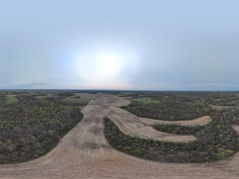 40 Acres of Tillable and Timber Vig : West Terre Haute : Vigo County : Indiana