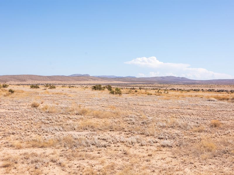 51.95 Acre Investment, $999 Down : Sierra Blanca : Hudspeth County : Texas