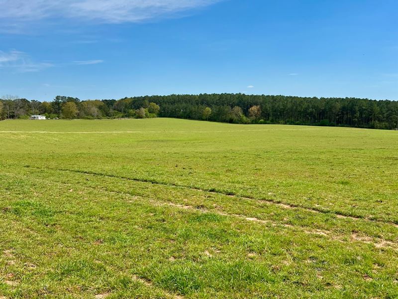 24-057 Jordan Farm : Luverne : Crenshaw County : Alabama