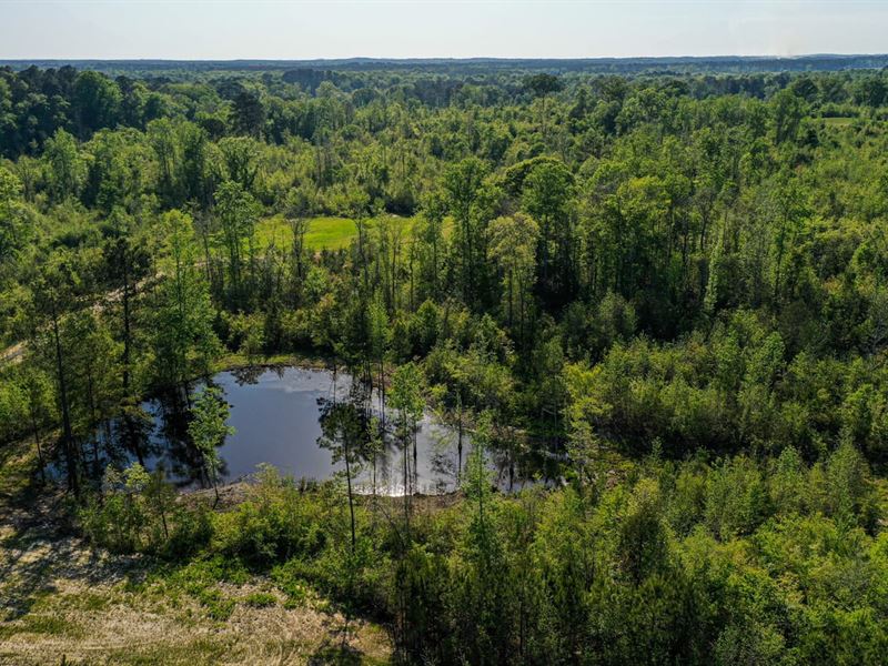 Noxapater 202 : Noxapater : Winston County : Mississippi