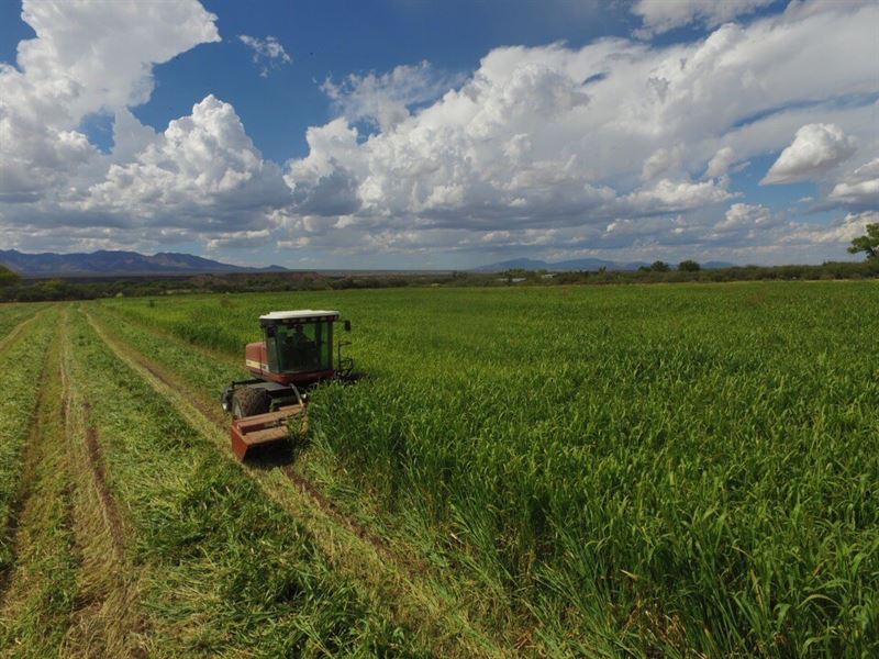 Arizona Farm Lot and Land for Sale : Saint David : Cochise County : Arizona
