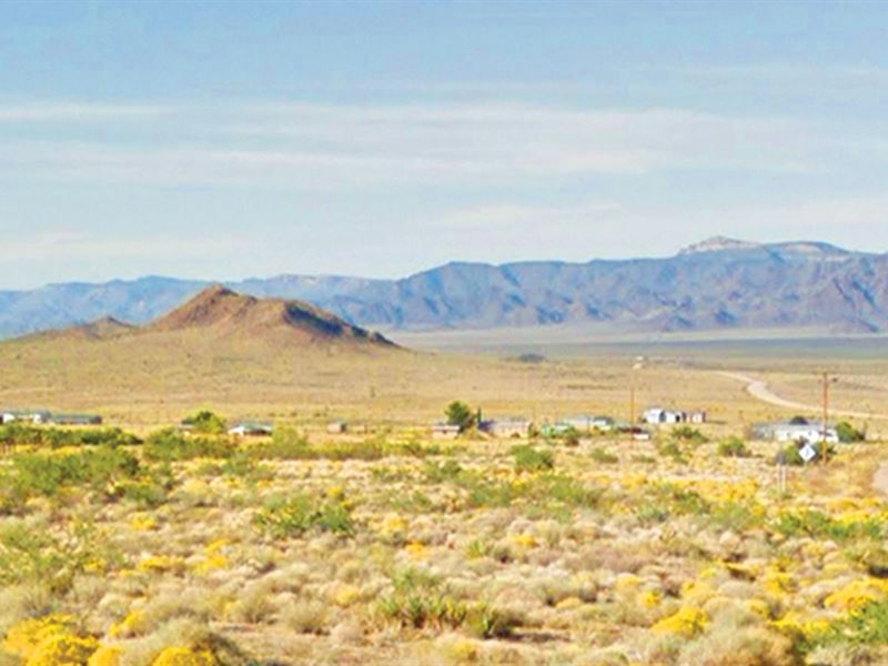 Own it for Only $999 Today : Kingman : Mohave County : Arizona