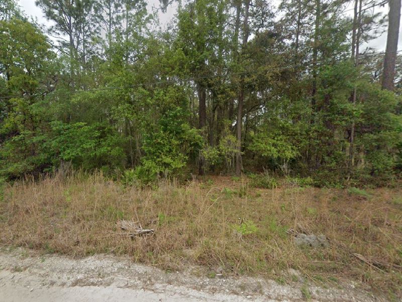 Escape & Invest, Only $199 Down : Pomona Park : Putnam County : Florida