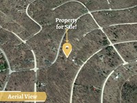 .49 Acre in Antrim County, MI : Alba : Antrim County : Michigan