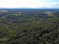 Beautiful Property, Creek Front : Rutherfordton : Rutherford County : North Carolina