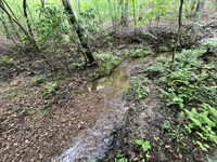 +/-22.5 Acres, Creek & Homesite : Waleska : Cherokee County : Georgia
