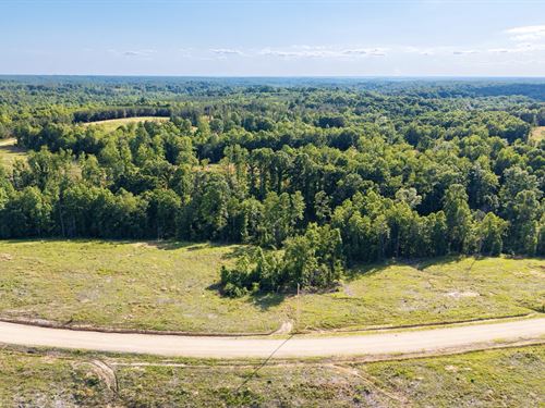33 Acres w Power & Fiber Internet : Dover : Stewart County : Tennessee