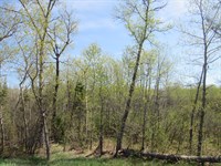 288 +/- Wooded Acreage : Amasa : Iron County : Michigan