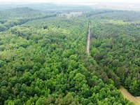 Detroit Farm : Detroit : Marion County : Alabama