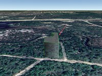 Wooded Lot in Interlachen, $250/Mo : Interlachen : Putnam County : Florida