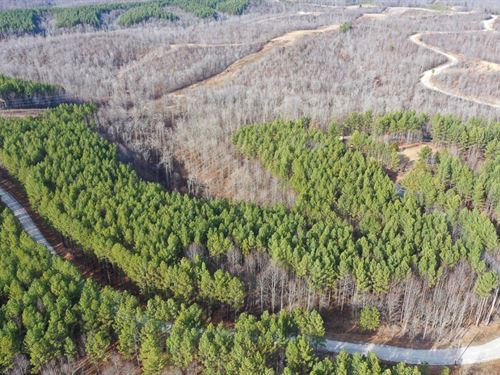 Natural Beauty, Bear Hollow Dr : Waverly : Humphreys County : Tennessee