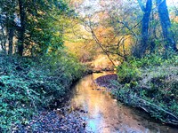 Premiere Estate Lot, Tract A : Fountain Inn : Greenville County : South Carolina