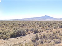 20 Acres in Lassen County, CA : Moran : Lassen County : California