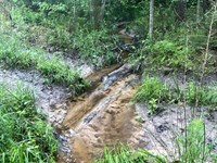 Atlanta Homestead 54 : Atlanta : Cass County : Texas