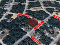 Spacious Citrus Springs Lot : Citrus Springs : Citrus County : Florida