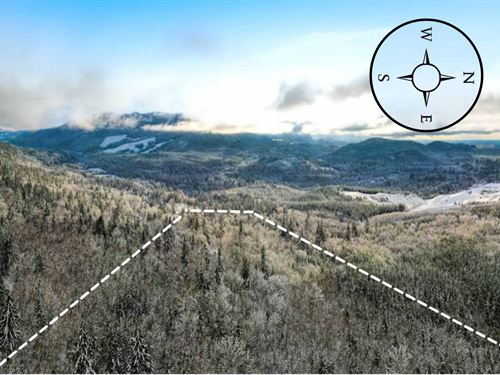 Rare 10 Ac Next to Nature Reserve : Ravensdale : King County : Washington