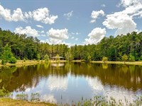 60 Acres, 1682 FM 980 : Huntsville : Walker County : Texas